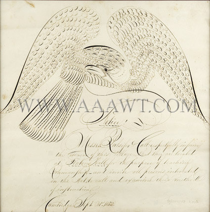 Antique Calligraphy, Spencerian Composition, Eagle and Notice of Instruction, close up